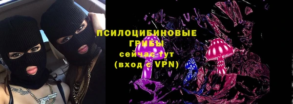 PSILOCYBIN Лиски