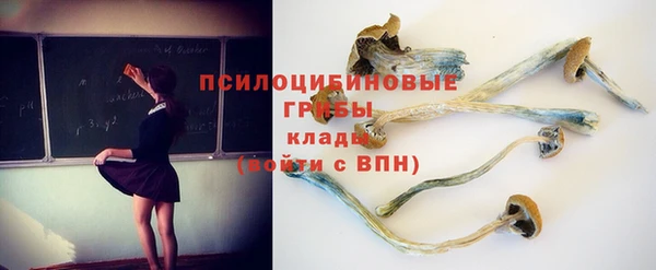 Альфа ПВП Лабытнанги