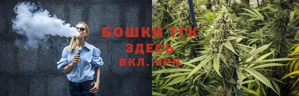 PSILOCYBIN Лиски