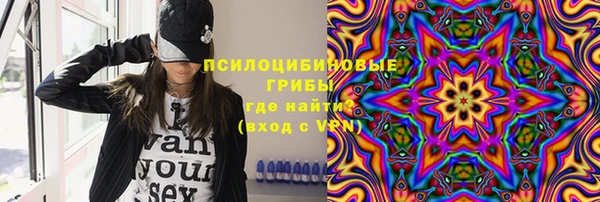 Альфа ПВП Лабытнанги