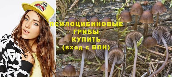 PSILOCYBIN Бердск