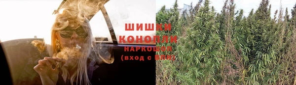 стаф Ладушкин