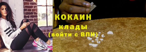 PSILOCYBIN Лиски