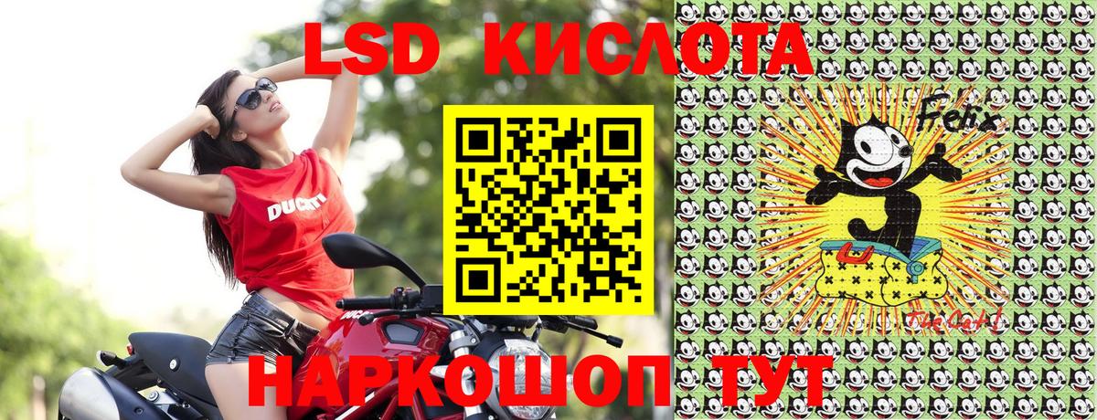 Марки 25I-NBOMe 1,5мг Чернушка