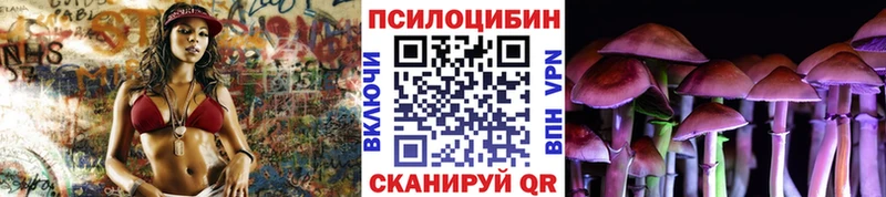 сколько стоит  Чернушка  Галлюциногенные грибы Magic Shrooms 