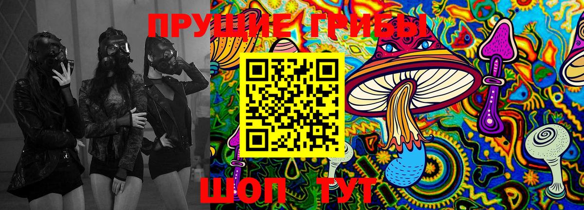 Псилоцибиновые грибы Psilocybe Чернушка