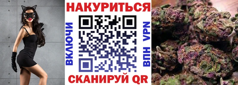 кракен как войти Чернушка Бошки Шишки планчик