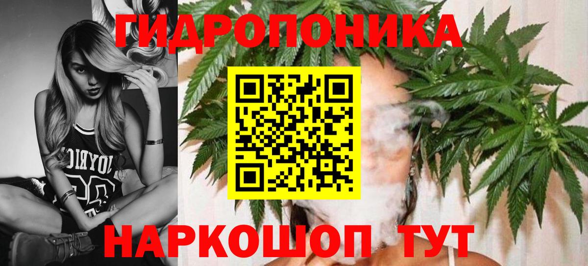 Чернушка  Марихуана семена  Канабис AK-47  Каннабис White Widow  Вход с VPN 