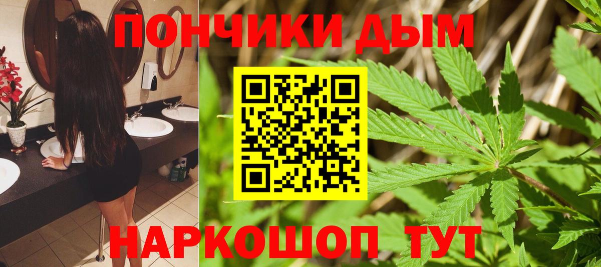 Конопля AK-47  Чернушка  Бошки Шишки семена 