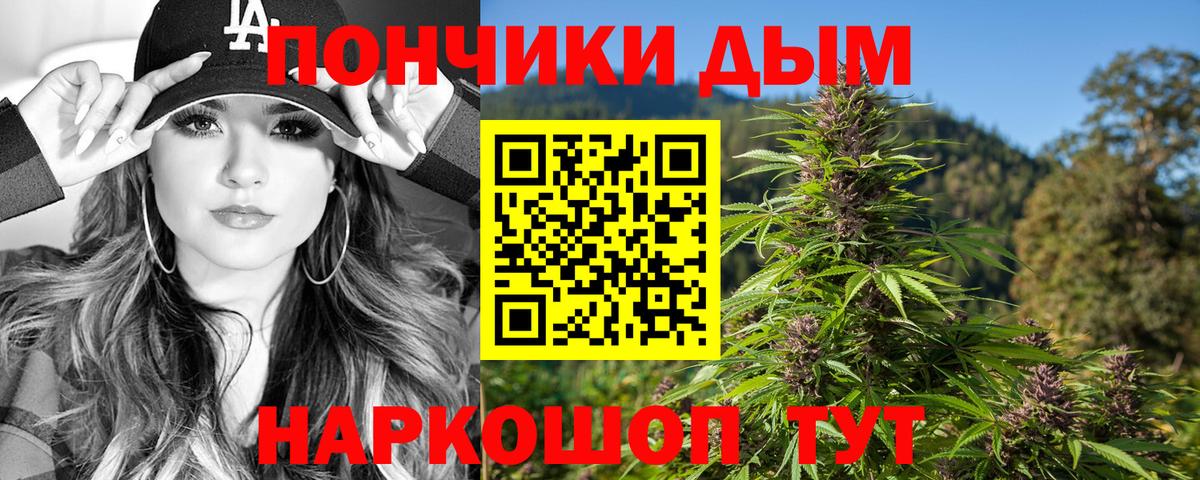 Канабис SATIVA & INDICA Чернушка